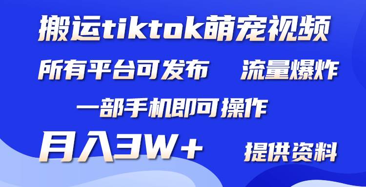 搬运Tiktok萌宠类视频，一部手机即可。所有短视频平台均可操作，月入3W+祝创空间-网创项目资源站-副业项目-创业项目-搞钱项目祝创空间