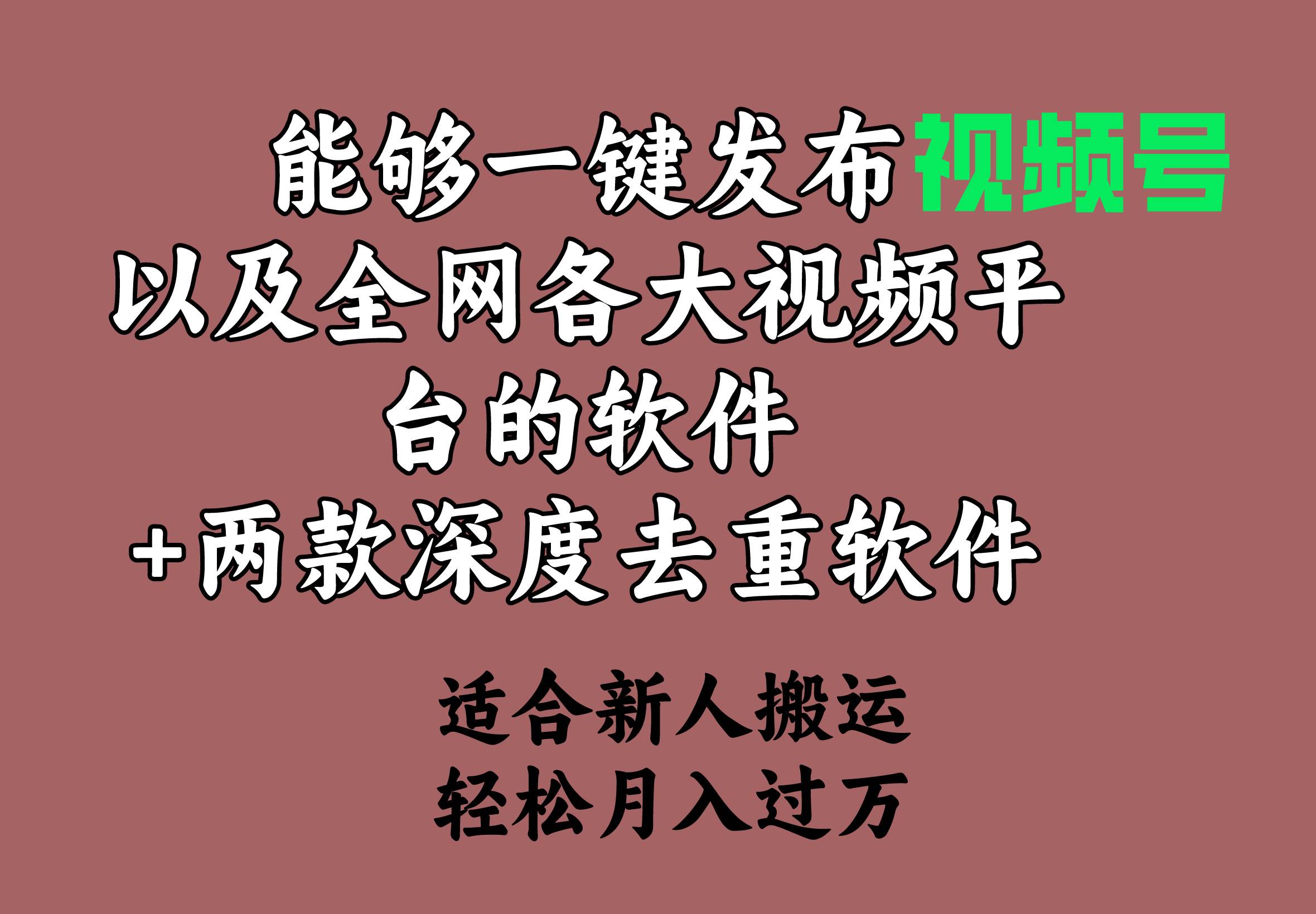 能够一键发布视频号以及全网各大视频平台的软件+两款深度去重软件 适合…祝创空间-网创项目资源站-副业项目-创业项目-搞钱项目祝创空间