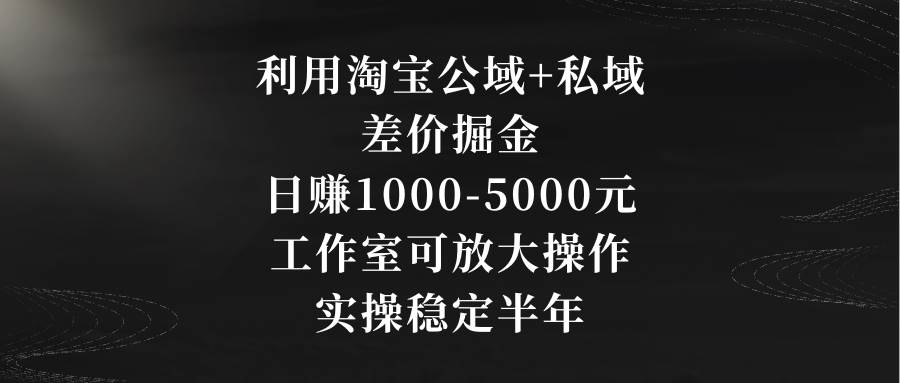 利用淘宝公域+私域差价掘金，日赚1000-5000元，工作室可放大操作，实操…祝创空间-网创项目资源站-副业项目-创业项目-搞钱项目祝创空间