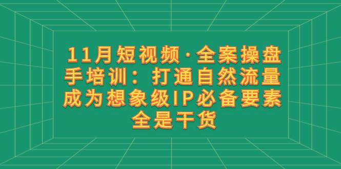 11月短视频·全案操盘手培训：打通自然流量 成为想象级IP必备要素 全是干货祝创空间-网创项目资源站-副业项目-创业项目-搞钱项目祝创空间