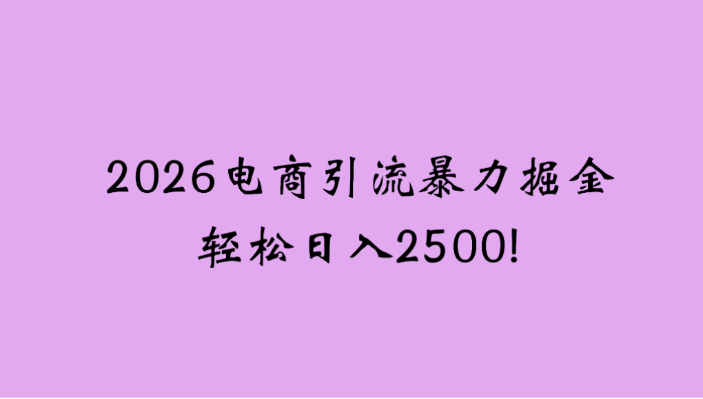 2026电商引流新玩法，日引200，日可入2500+