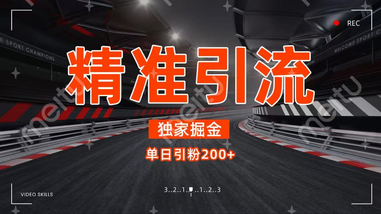 独家野路子精准引流 每日200+