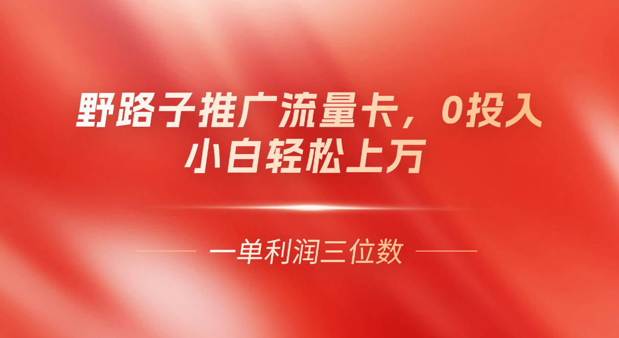 野路子推广流量卡，一单利润上百，0投入，小白月利润上万