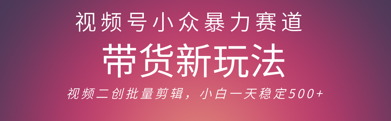 视频号小众暴力赛道，最新带货玩法 小白也能轻松日入500+ 保姆及教程